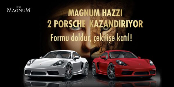 Надпись magnum porsche